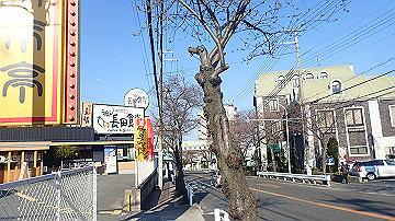p4020261_thumb.jpg
