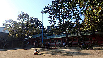p4020267_thumb.jpg