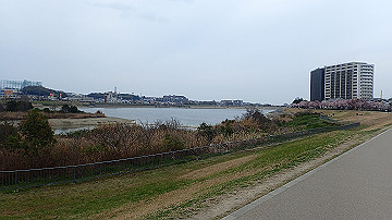 p4050056_thumb.jpg