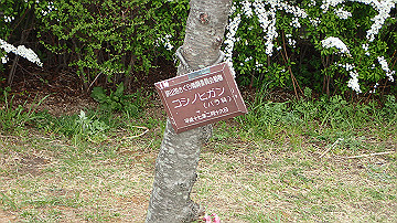 p4050064_thumb.jpg