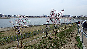 p4050077_thumb.jpg