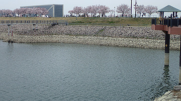p4050081_thumb.jpg