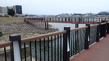 p4050085_thumb.jpg