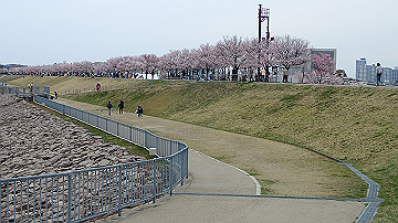 p4050086_thumb.jpg