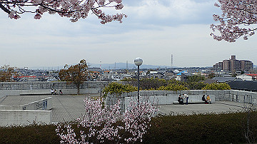 p4050096_thumb.jpg