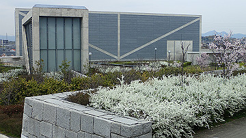 p4050113_thumb.jpg