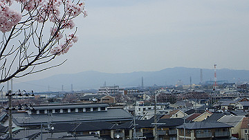 p4050121_thumb.jpg