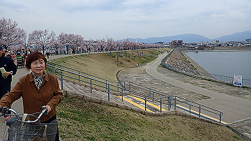 p4050124_thumb.jpg