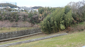 p4050132_thumb.jpg