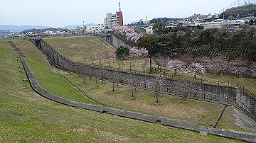 p4050133_thumb.jpg