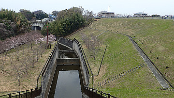 p4050138_thumb.jpg