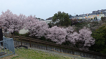 p4050140_thumb.jpg