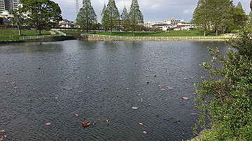 img_7540_thumb.jpg