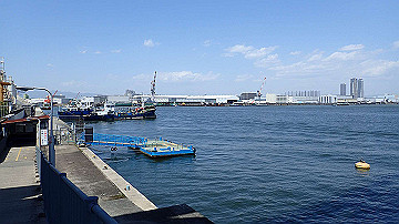 p4190162_thumb.jpg
