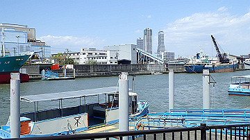 p4190184_thumb.jpg