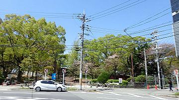 p4190199_thumb.jpg