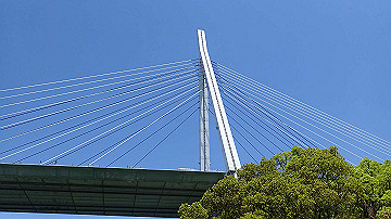 p4190206_thumb.jpg