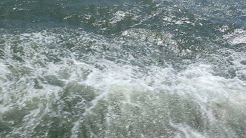 p4190228_thumb.jpg