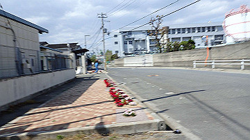 p4190298_thumb.jpg
