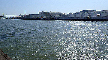 p4190301_thumb.jpg
