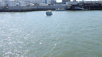 p4190308_thumb.jpg