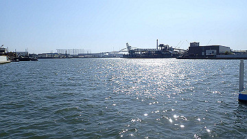 p4190334_thumb.jpg