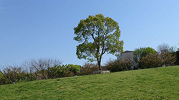 p4190336_thumb.jpg
