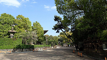 p4190343_thumb.jpg