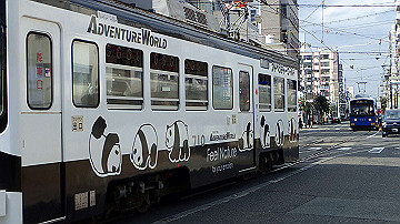p4190348_thumb.jpg