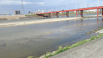 p4190361_thumb.jpg