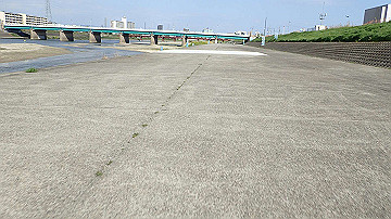 p4190362_thumb.jpg