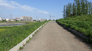 p4190365_thumb.jpg