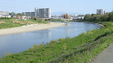 p4190368_thumb.jpg