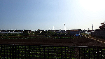 p4190376_thumb.jpg