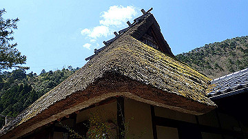 p4240072_thumb.jpg