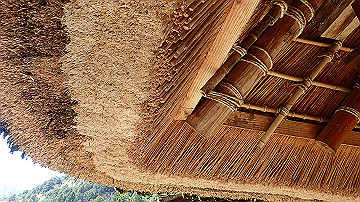 p4240075_thumb.jpg