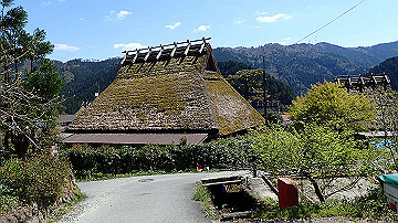 p4240089_thumb.jpg