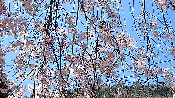 p4240093_thumb.jpg