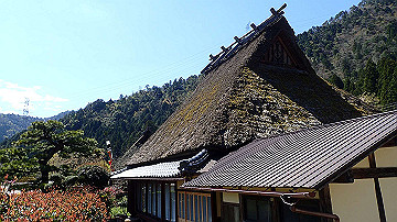 p4240097_thumb.jpg