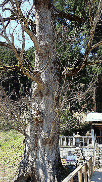 p4240100_thumb.jpg