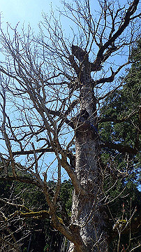 p4240101_thumb.jpg