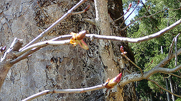p4240103_thumb.jpg
