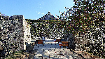 p4240160_thumb.jpg