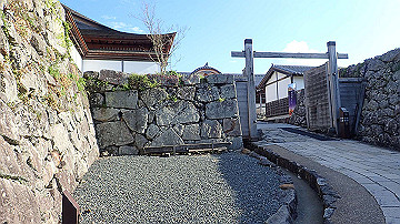 p4240162_thumb.jpg