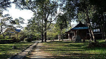 p4240182_thumb.jpg