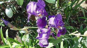 p4280097_thumb.jpg