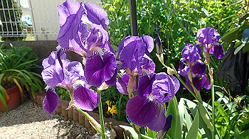 p4280098_thumb.jpg