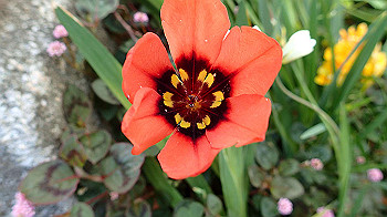 p4280101_thumb.jpg