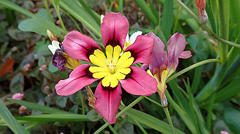 p4280102_thumb.jpg