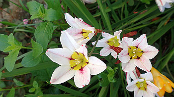 p4280103_thumb.jpg